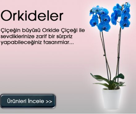 Dikkat Çeken Ürün